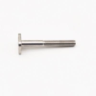 Stainless Steel Hammer Head Bolt T Bolt Square Head Bolt A2 A4 T Bolt