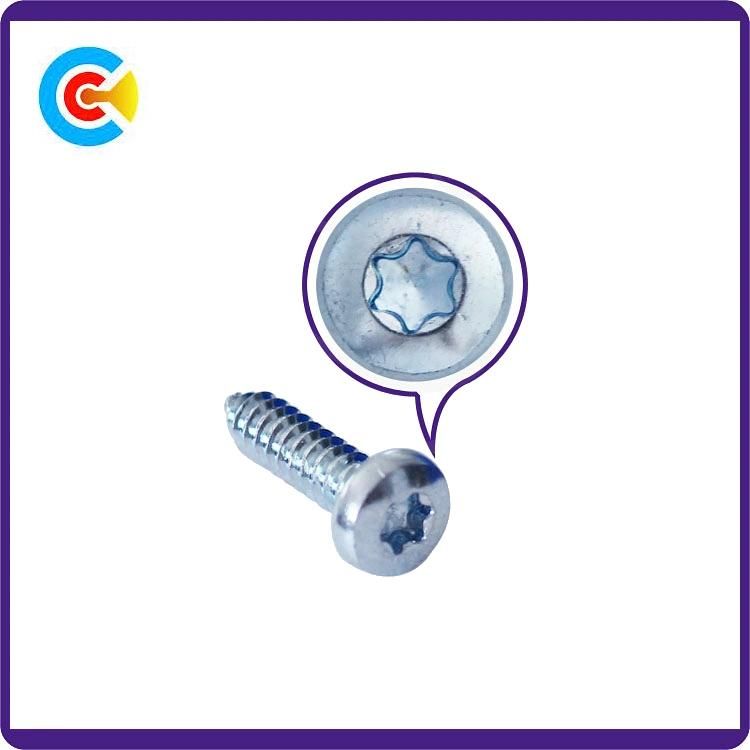Stainless Steel 304/316 DIN7981 DIN7982 Phillips Self-Tapping Machine Screws