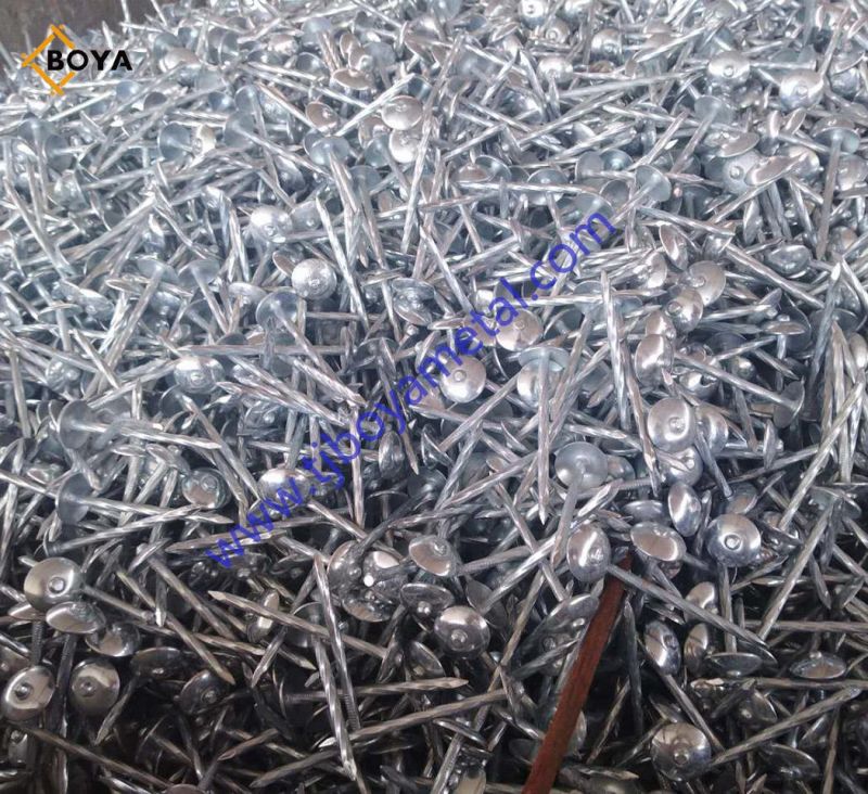 Galvanized Roofing Screw Nail with Washer/Assembled Roofing Nail From Tianjin