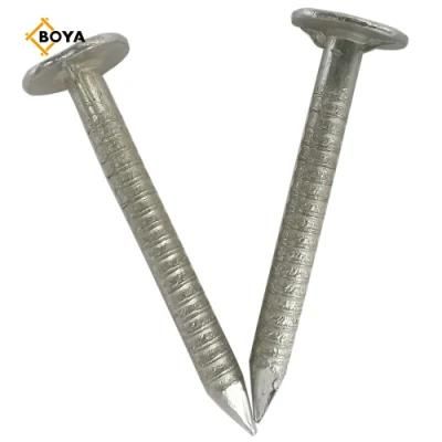 Best Selling Hot Dipped Galvanized Ring Nail with Different Size