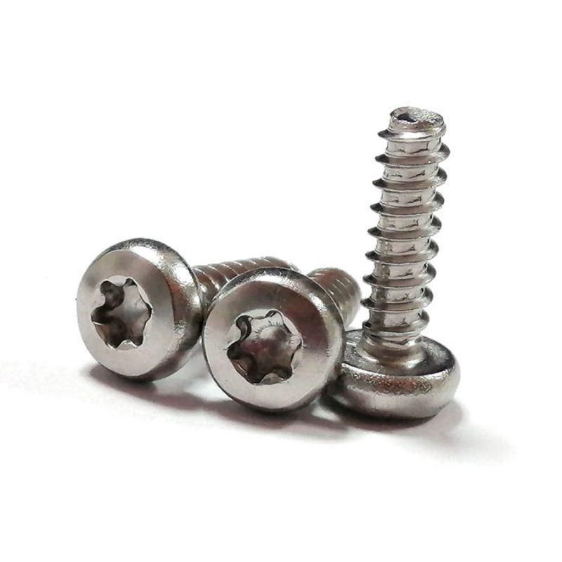 Stainless Steel Wn1412 Pan Torx Head Self Tapping Screws for Plastic