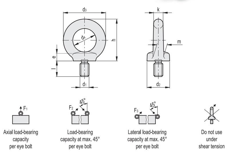 M16 Galvanized DIN580 Eyebolt for Lifting