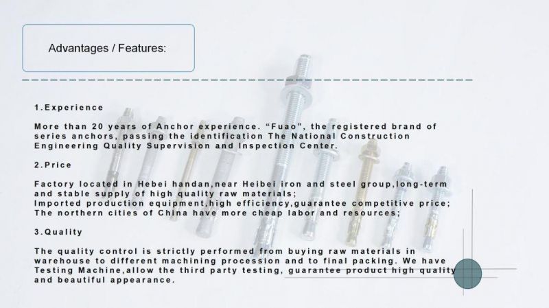 Made in China 4.8 Grade High Quality Wedge Anchor