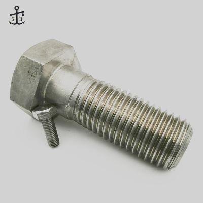 Ss SUS304 Spare Parts Fasteners Stainless Steel DIN 601 M5 to M52 Hexagon Head Bolts&mdash; Product Grade C Made in China