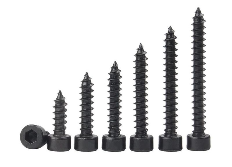Black Finish Cup Head/Cylinder Head Socket Head Self Tapping Screws