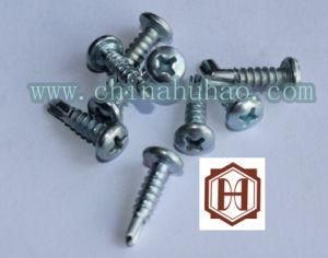 Screw/Self Drilling/Zinc Galvanized Pan Head Self Driling Screw