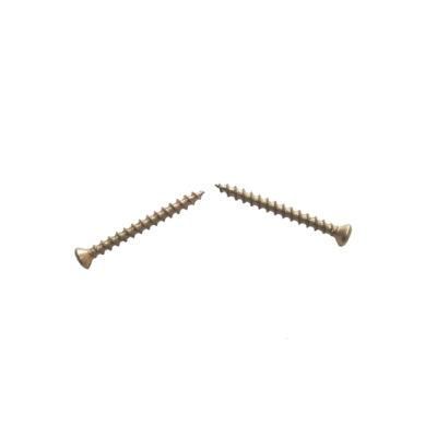 Square Groove Cut Point Screw Yzp