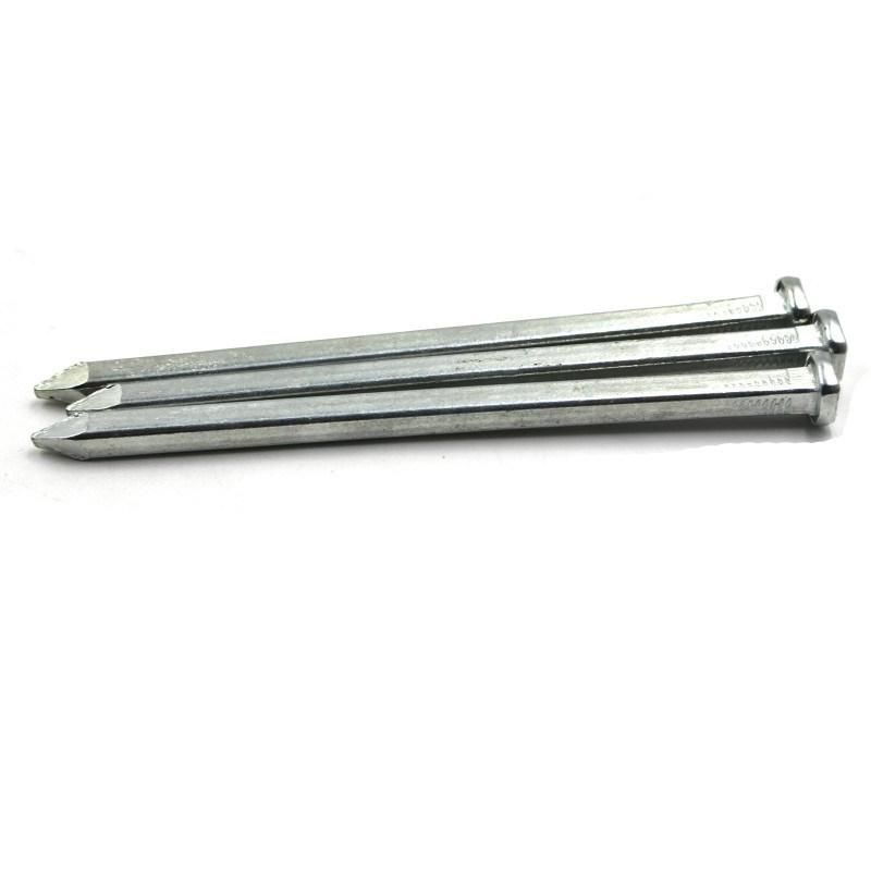 Carbon Steel Galvanized Square Boat Nail Common Nail Iron Nail