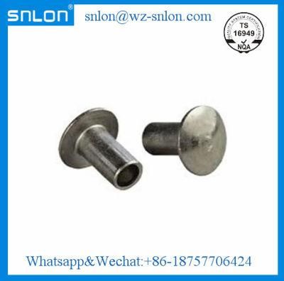 Thin Head Rivet for Car Parts