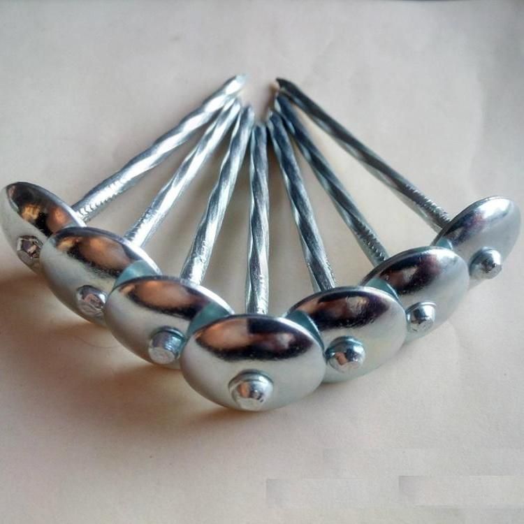 Twisted Shank Galvanized Umbrella Roofing Nail