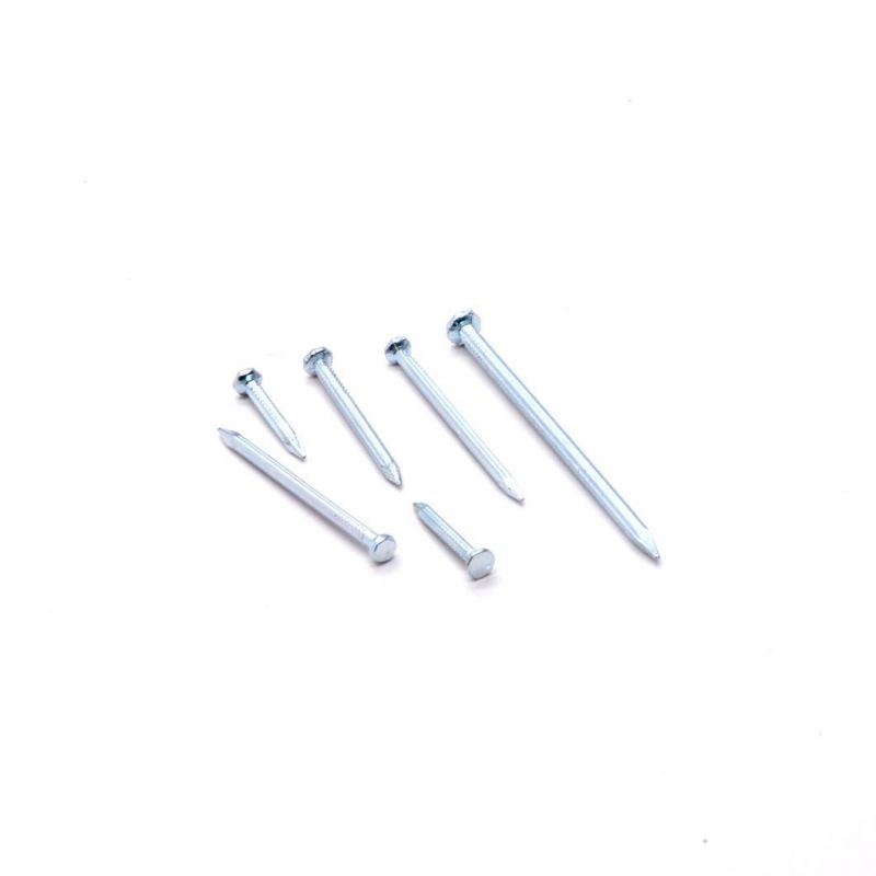 Top Quality Low Price Angular Spiral Steel Concrete Nails Hardened Steel Concrete Nails