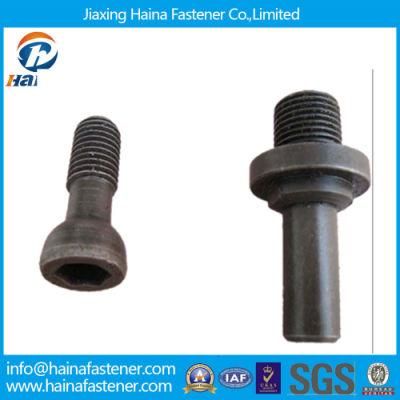 Non-Standard Bolt for Customized (Special Fastener)