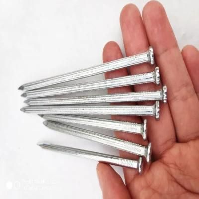 Large Head Galvanized Umbrella Roofing Nails/Concrete Nails/Common Nail Made in China