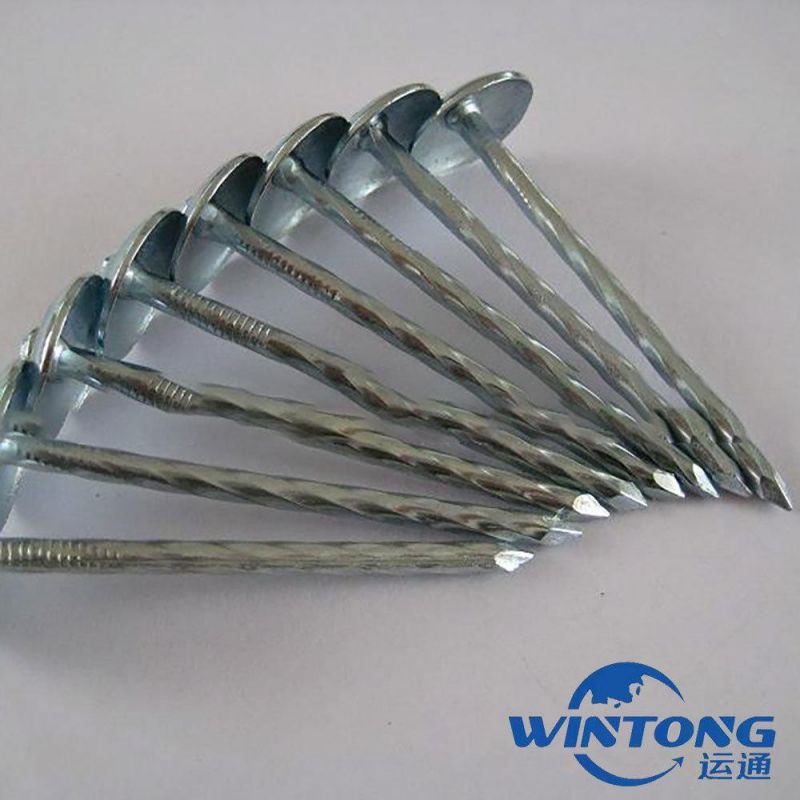 Hot Sale Galvanized Umbrella Roofing Nails, Hemp Pole Roofing Nail, Roofing Nail Production