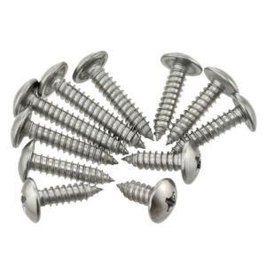 Truss Head Self Drilling Screw/Stainless Steel Screw