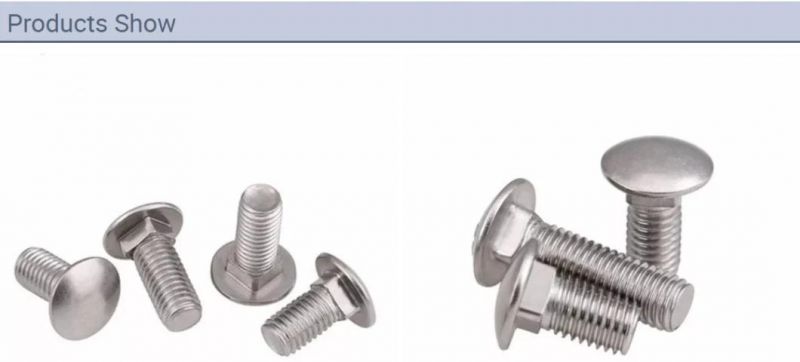 Hot Sales Stainless Steel Carriage Bolt Mushroom Head Round Head Carriage Bolt DIN603