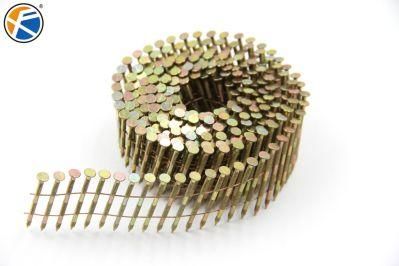 Screw Shank Coil Nails Coil Wire Nails in China Factory
