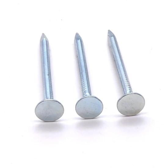 Flat Head Roofing Nails Galvanized Cupper Ceiling Nails