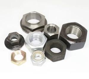 Hot Sale High Quanlity Hex Screw Nut