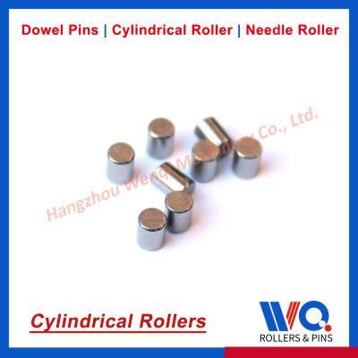 5mm X 8mm Dowel Pin 304 Stainless Steel Shelf Pin Elements