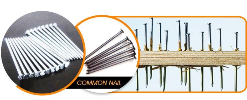 Made in China Round Common Nail for Construction