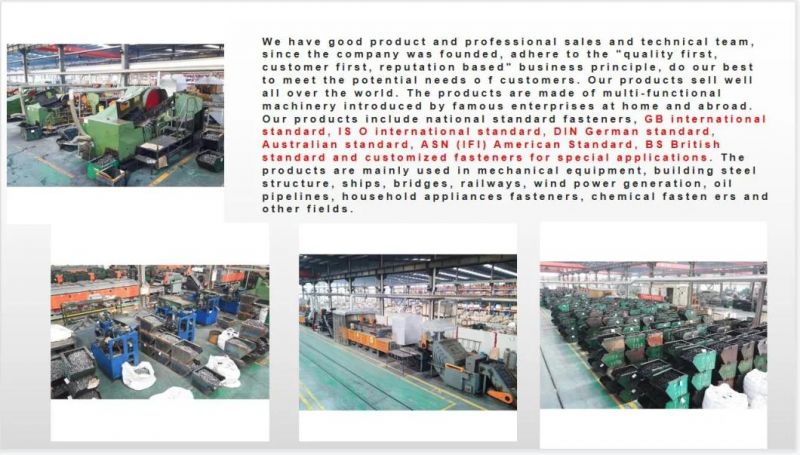 High Quality Strength Structural Heavy Nuts