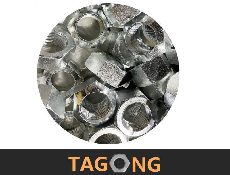 Cold-Forging Hex Nuts (DIN934, ISO4032, UNI5588, DIN555)