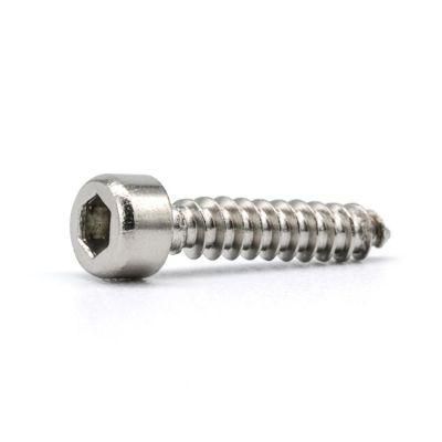 Stainless Steel 304 Hex Socket Head Tapping Screw