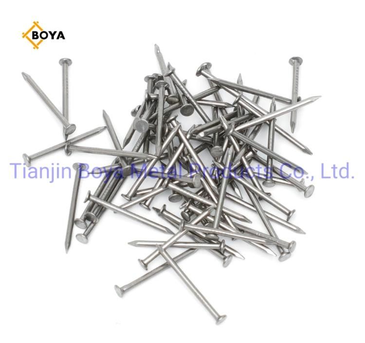 Q195 Polishing Common Nail/Steel Nail/Iron Nail/Building Nail/Galvanized Nail