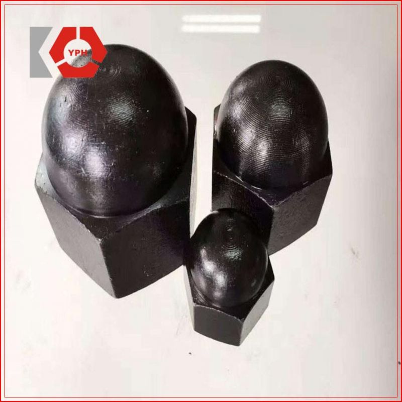 DIN1587 Hex Nut Round Head with Black