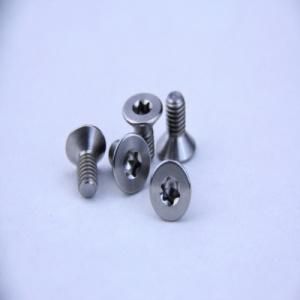 Customized DIN Counter Sunk Head Titanium Screw