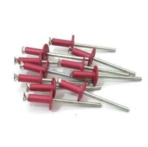 China Manufacturer Stainless Steel Peel Rivet