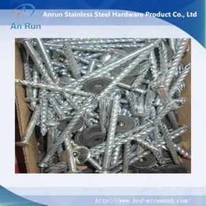 Electro Galvanized Roofing Nails with Rubber Washer