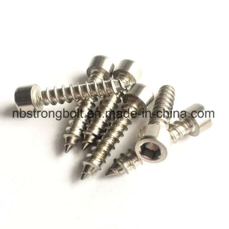 Self Tapping Screw, Socket Head Self Tapping Screw