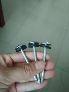 Roofing Nail with Plastic Rubber Washer