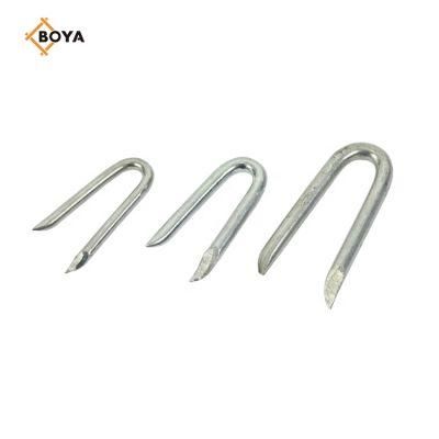 Best Choice Barbed U Shape Iron Wire Nail Common Diamond Sharp U Type Nail