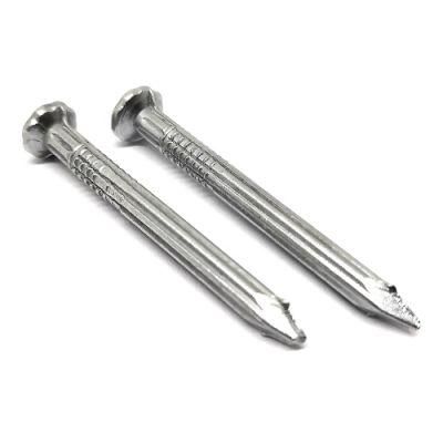 Constructine Leval Galvanized Umbrella Roofing Nails/Concrete Nails/Common Nail