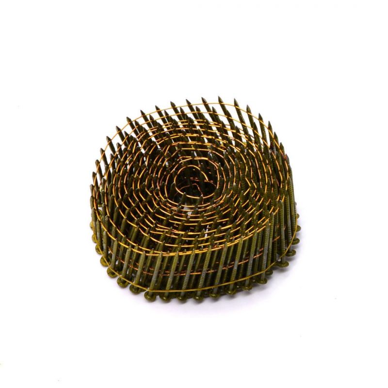 Electro Galvanized Steel Iron Roof Coil Nail Roofing Wire Nails Coil Nail