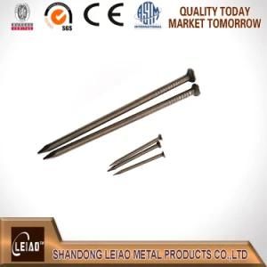 Common Round Head Iron Nail