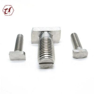 Customized Size Stainless Steel 304 316 T Head Bolt