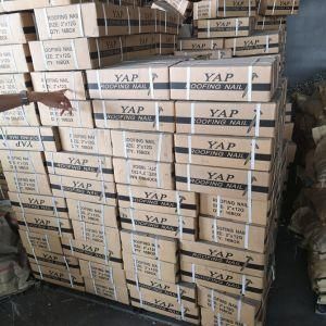 Hot Selling Electro Galvanized Umbrella Head Roofing Construction Nails