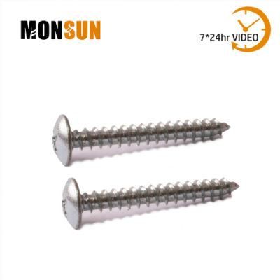 Clear Zinc Plated Cross Recess Truss Head Sheet Metal Screws