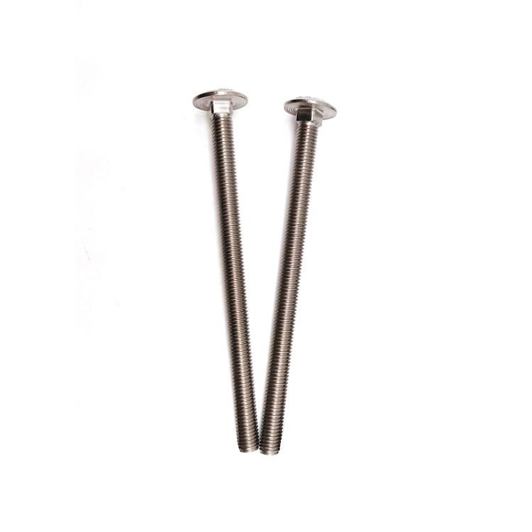1/2-in-13 X 8-in 316 Stainless Steel Mushroom Head Carriage Bolt