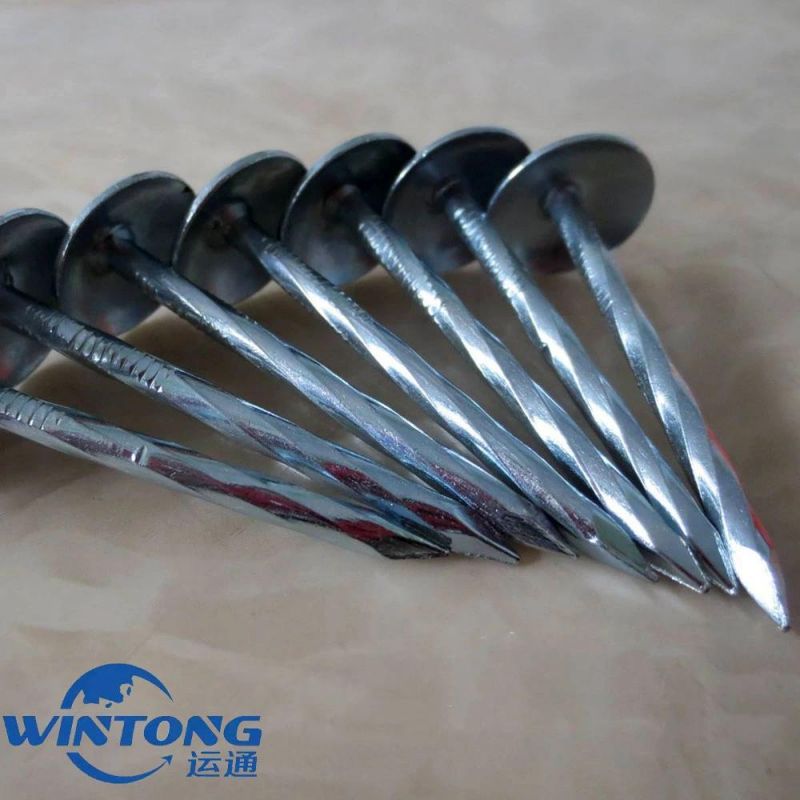 Construction Nails/Straight Pole Roofing Nails