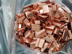 Copper Coated Clips