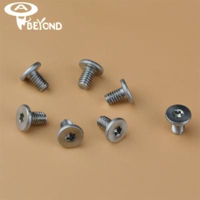 Torx Screw A2 C Head Screw/Self Tapping Screw/Torx Screw/Bolts