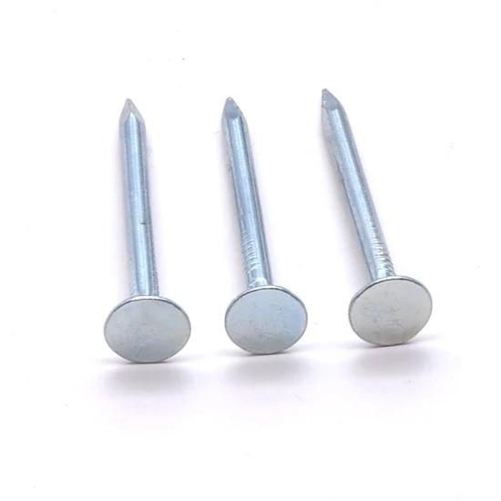 Hot Dipped Galvanized Clout Head Nail