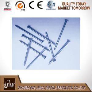 Common Nail/Wire Nail/Iron Nail Made in China