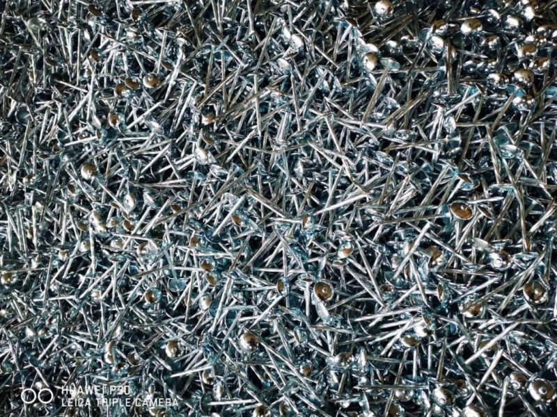 Galvanized Roofing Nails with Color Gasket Factory Price From China Dezhou City