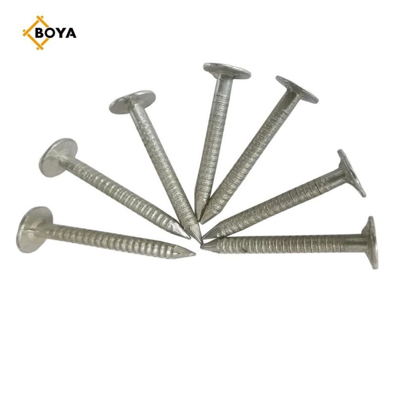 Hot Sale Ring Nail with Competitive Price